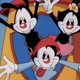 Animaniacs